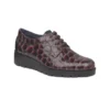 Zapato Cordón Callaghan 58515 Marrón Plataforma.