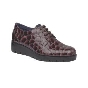 Zapato Cordón Callaghan 58515 Marrón Plataforma.